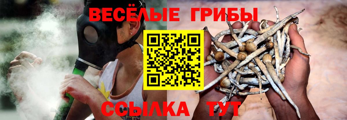 Псилоцибиновые грибы Cubensis  Псилоцибиновые грибы GOLDEN TEACHER  Вход с VPN  Острогожск 