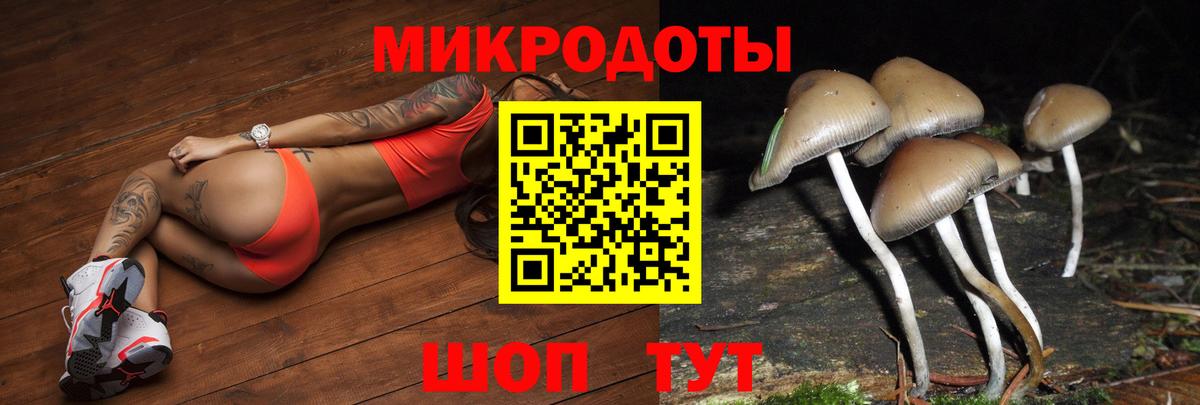 Псилоцибиновые грибы Magic Shrooms Острогожск